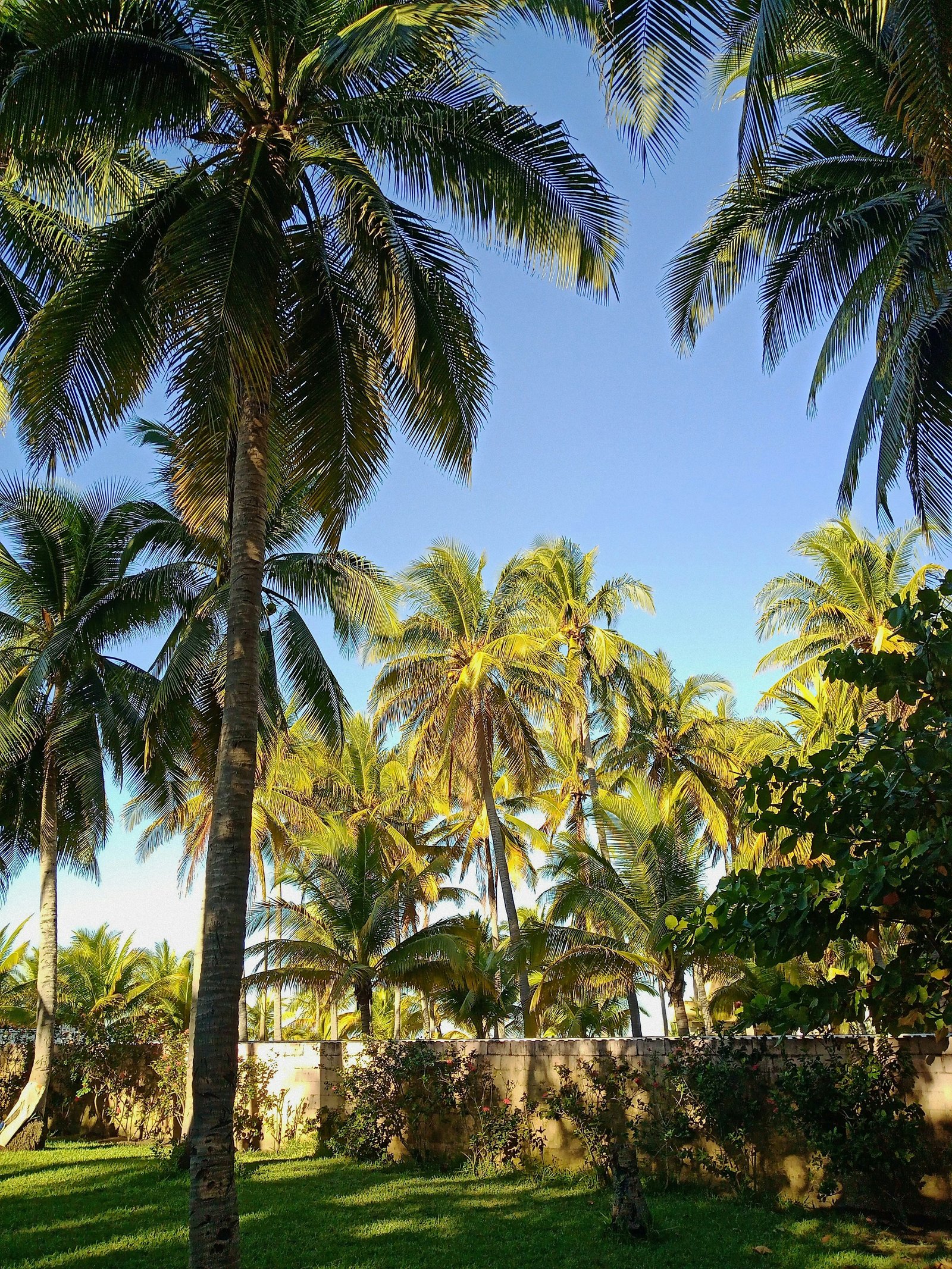 Diani Beach & Shimba Hills