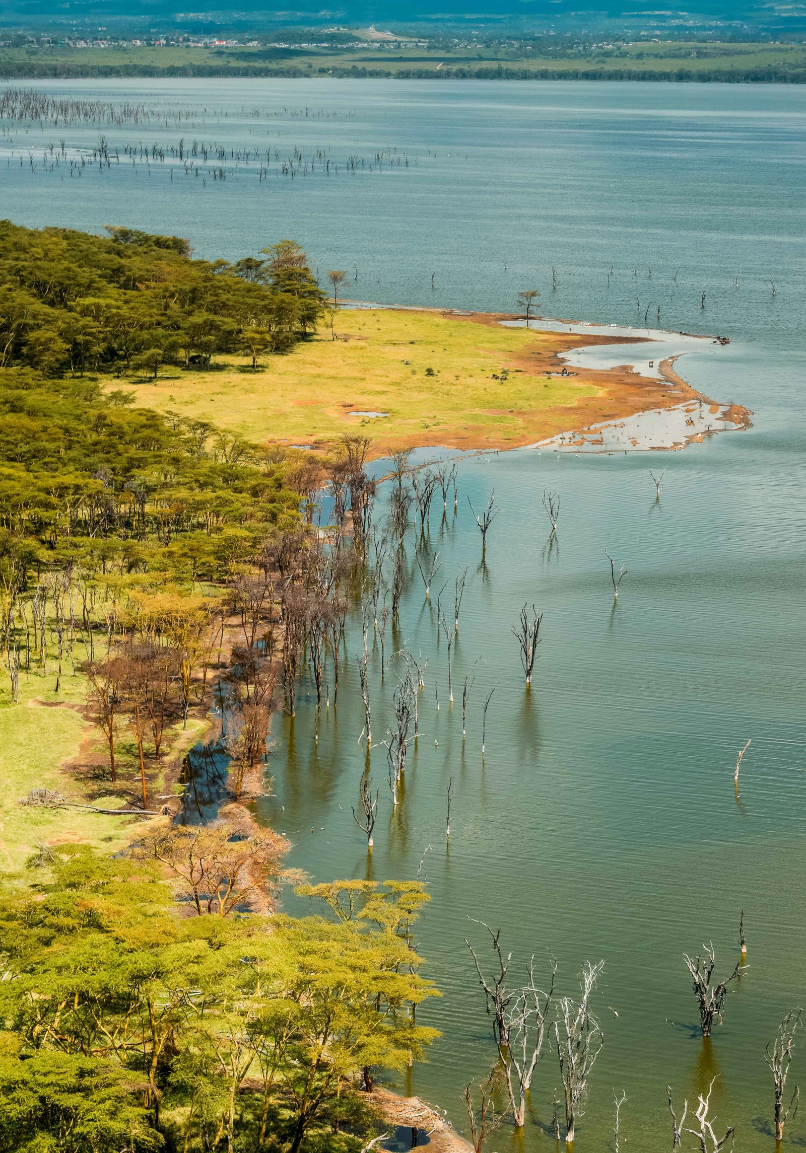 Lake Nakuru & Naivasha Weekend