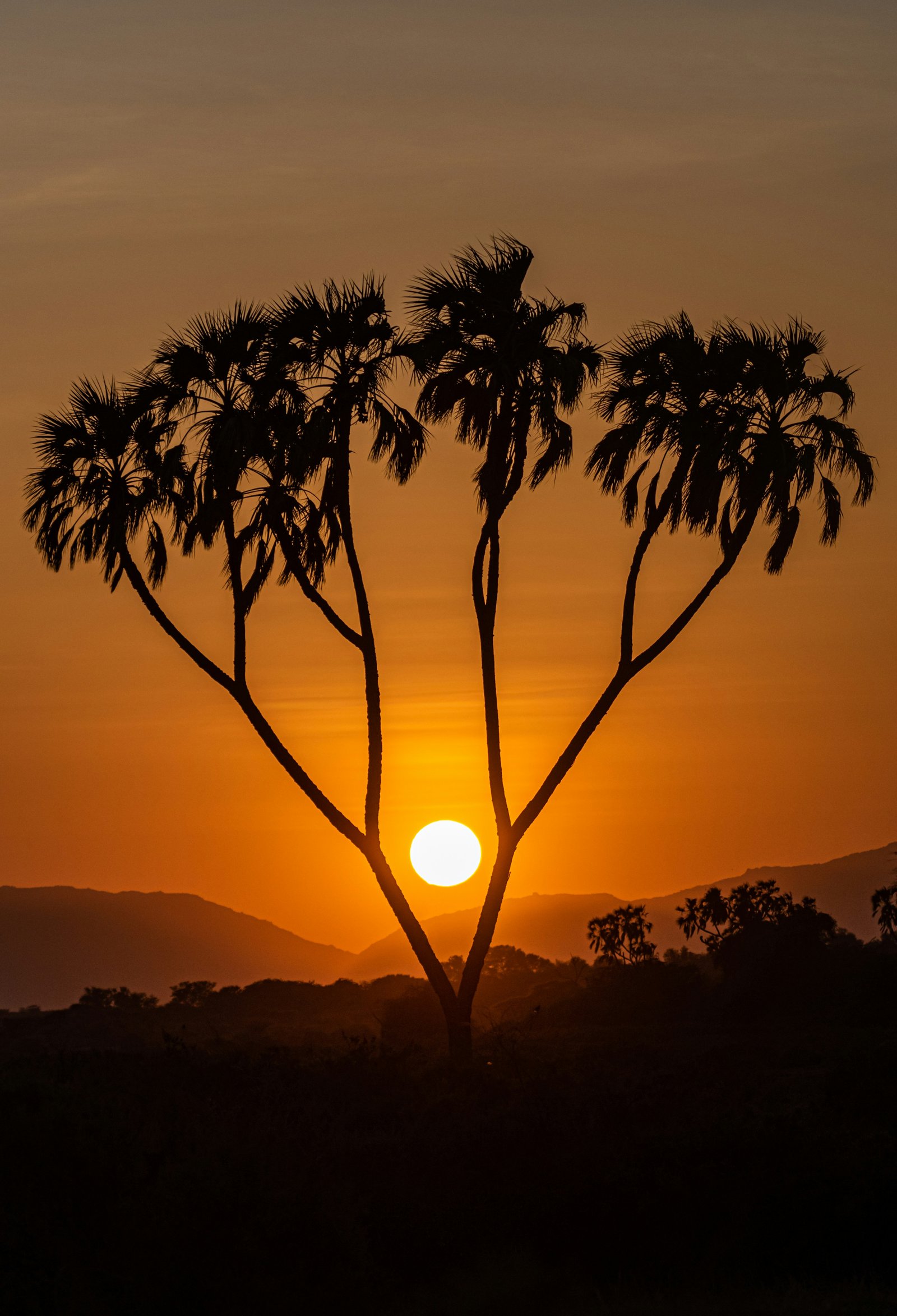 Samburu & Shaba – Northern Frontier