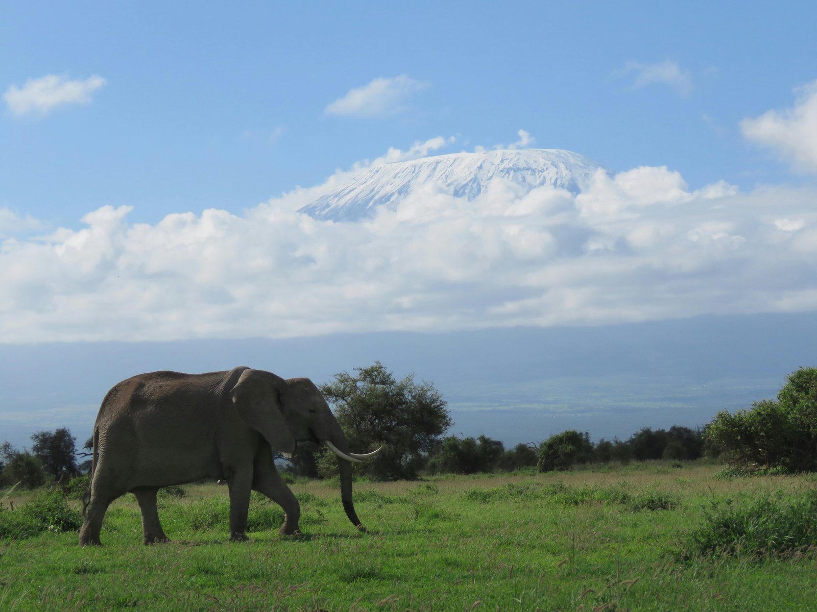 Amboseli, Kenya photo 3
