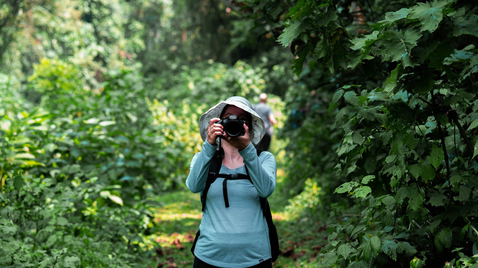 Bwindi Impenetrable Forest, Uganda