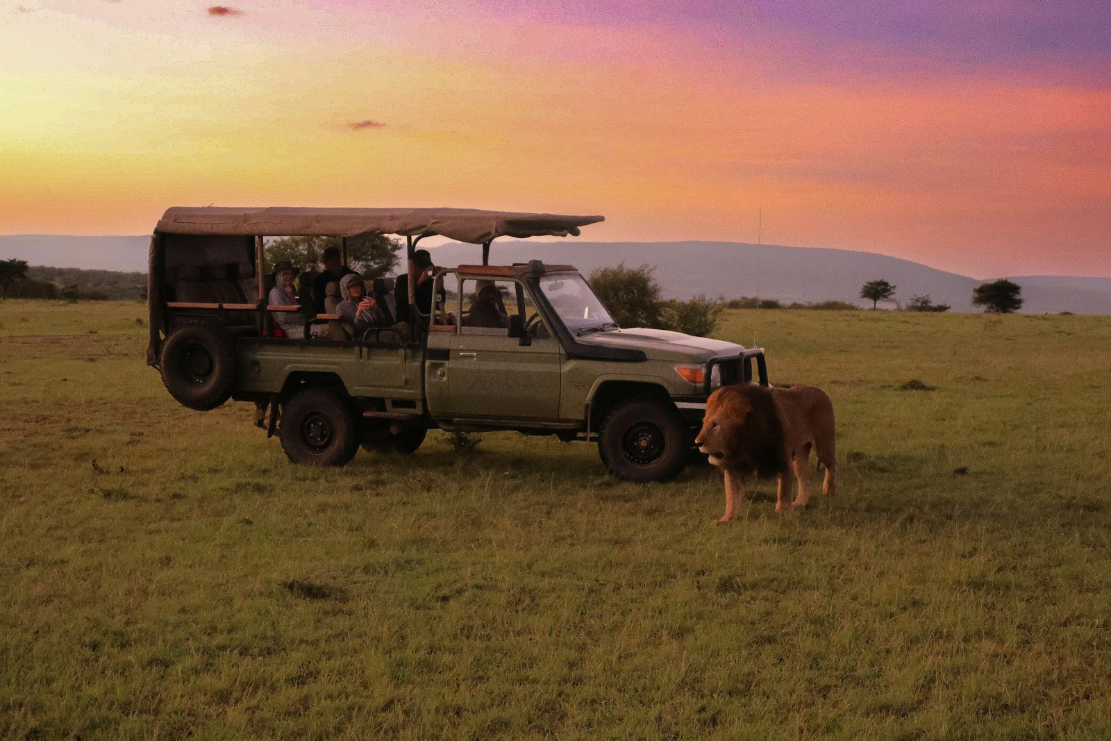 Maasai Mara, Kenya
