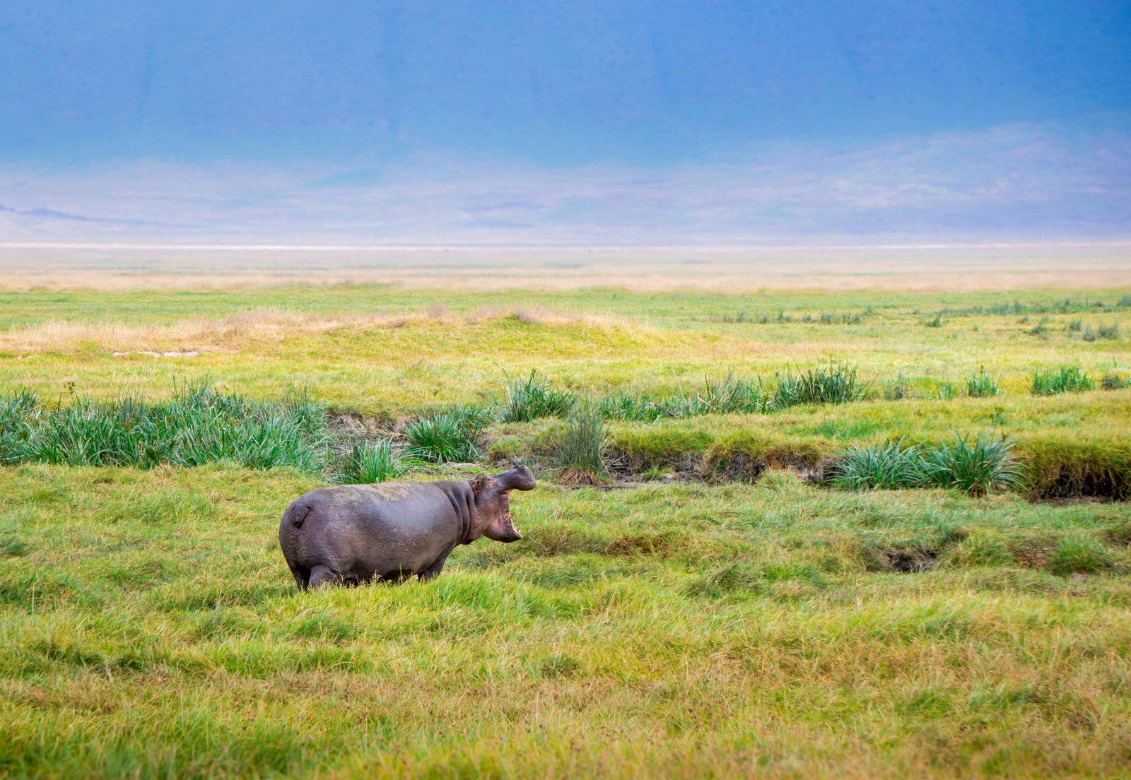 Ngorongoro Crater, Tanzania