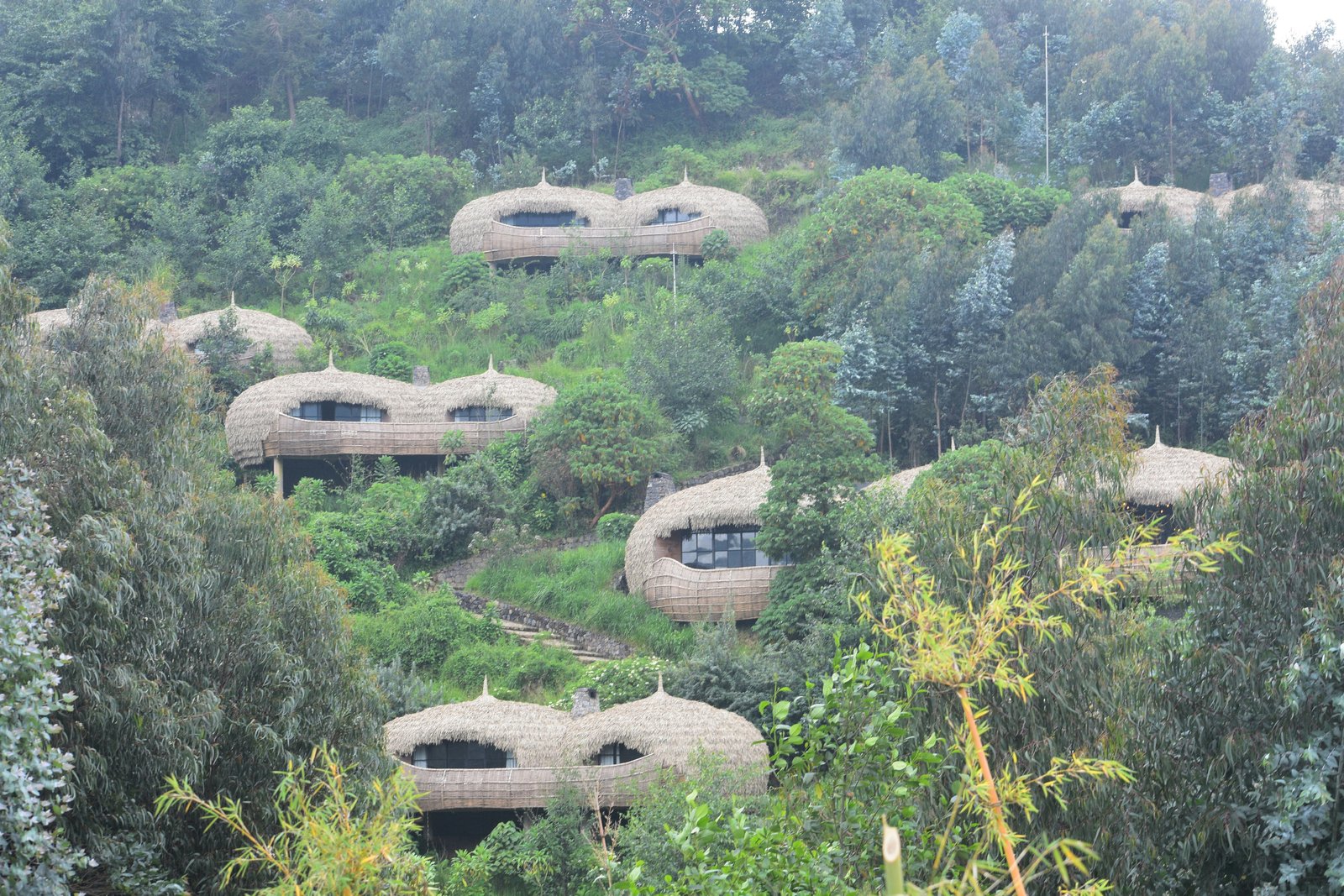 Volcanoes National Park, Rwanda photo 3