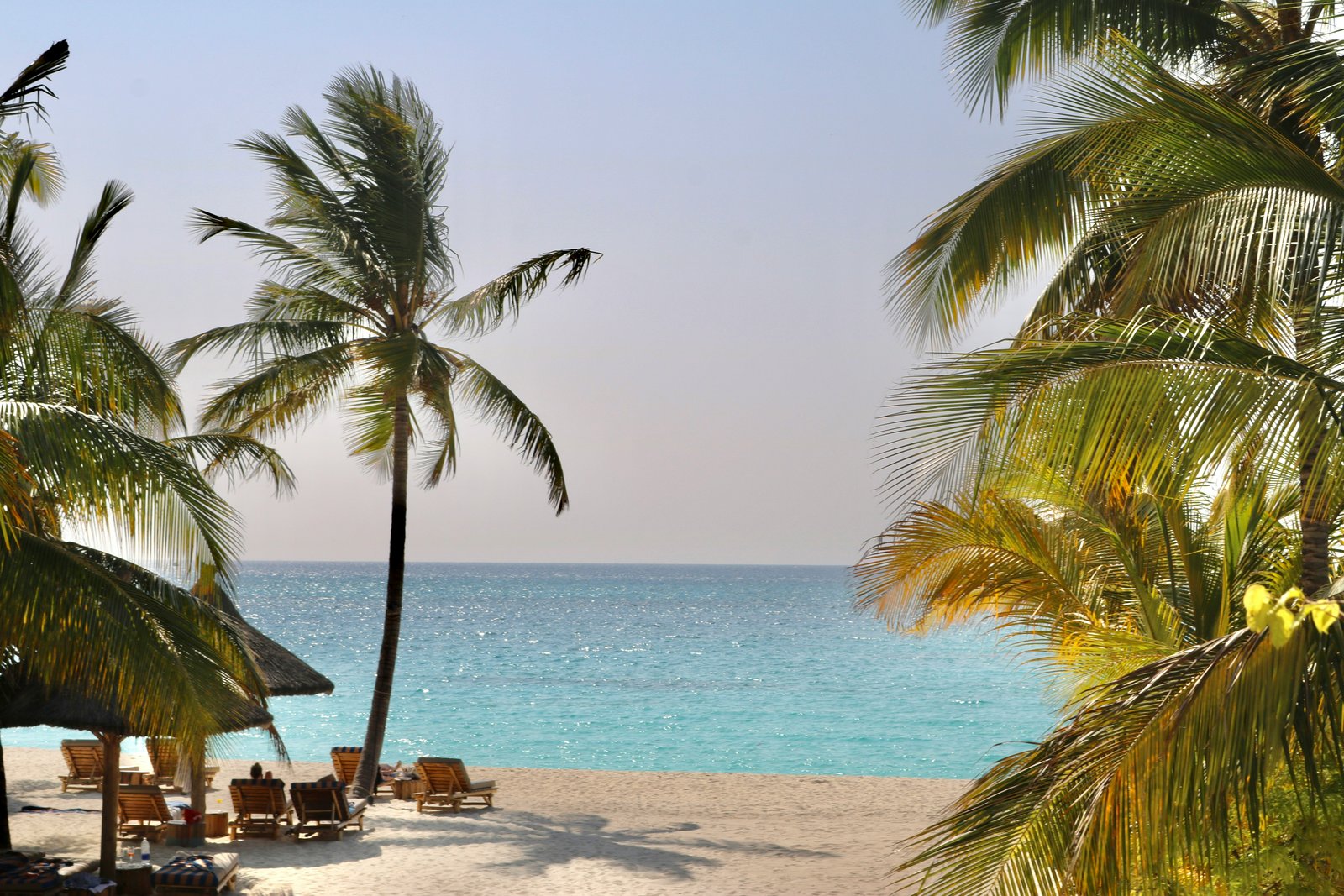 Zanzibar, Tanzania photo 3